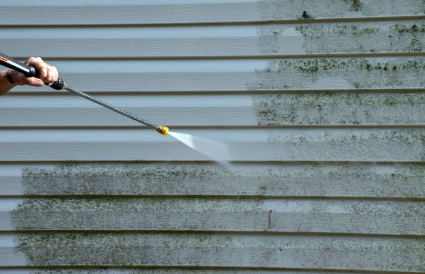Best Roof Power Washing Services  in Elmendorf, TX