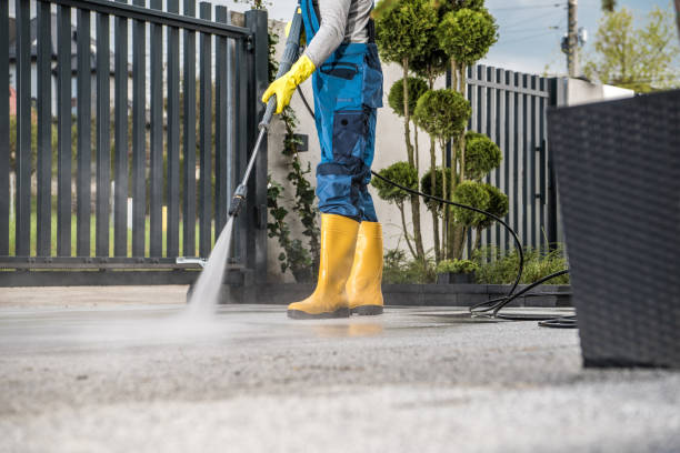 Best Deck Cleaning Services  in Elmendorf, TX