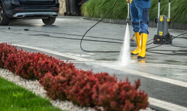 Best Residential Pressure Washing Services  in Elmendorf, TX