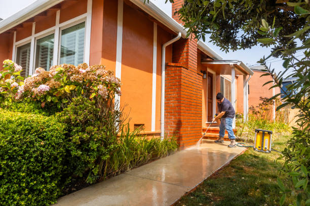 Best Power Washing Near Me  in Elmendorf, TX