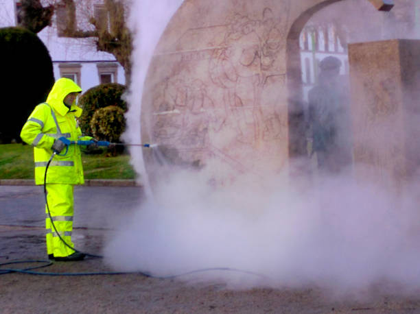 Best House Pressure Washing  in Elmendorf, TX