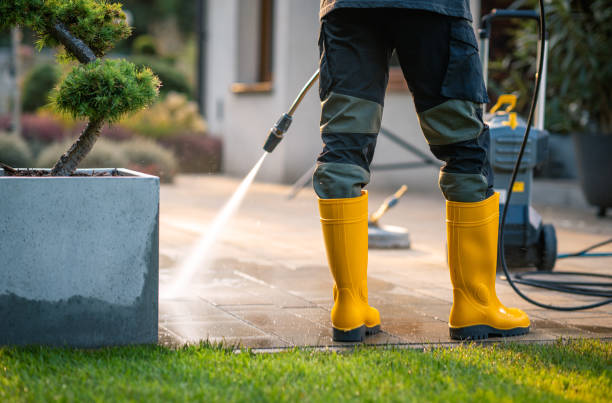 Best Affordable Power Washing  in Elmendorf, TX